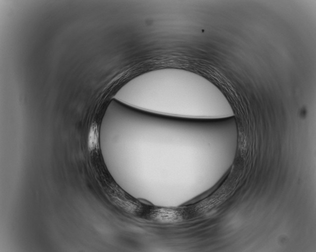X0000100420095200806060958