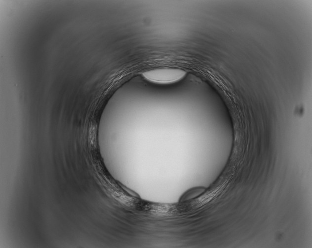 X0000100420096200806060958