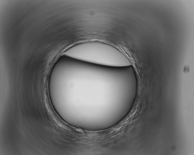 X0000100420097200806060957