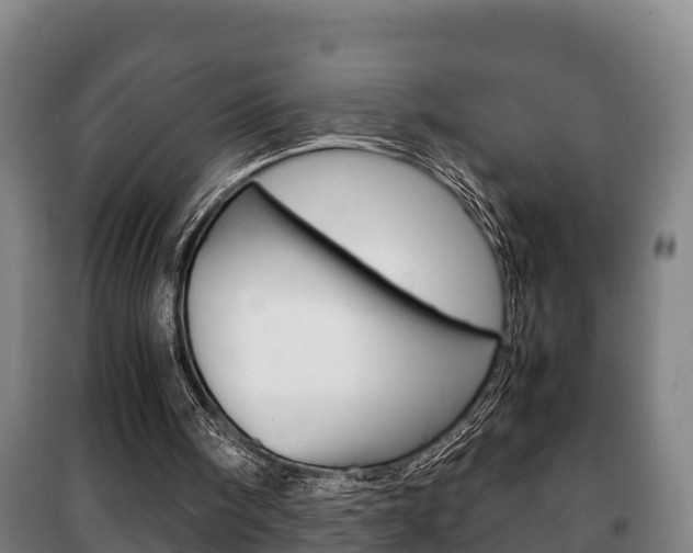 X0000100420098200806060957