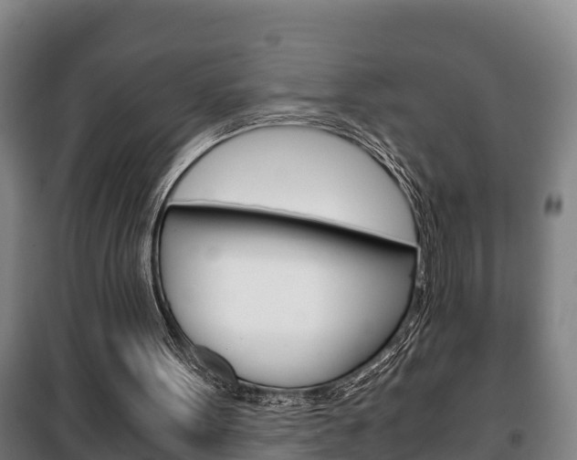 X0000100420099200806060957