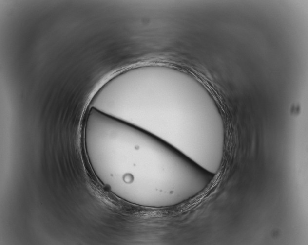 X0000100420100200806060957