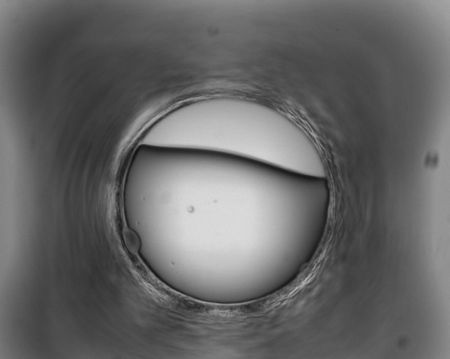 X0000100420101200806060957