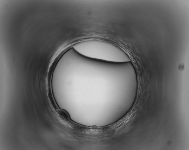 X0000100420102200806060957