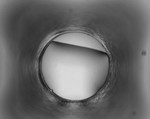X0000100420103200806060957
