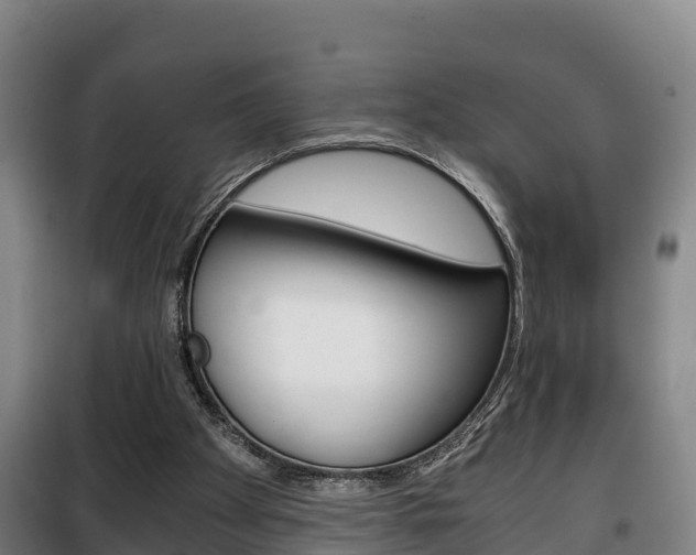 X0000100420105200806060957