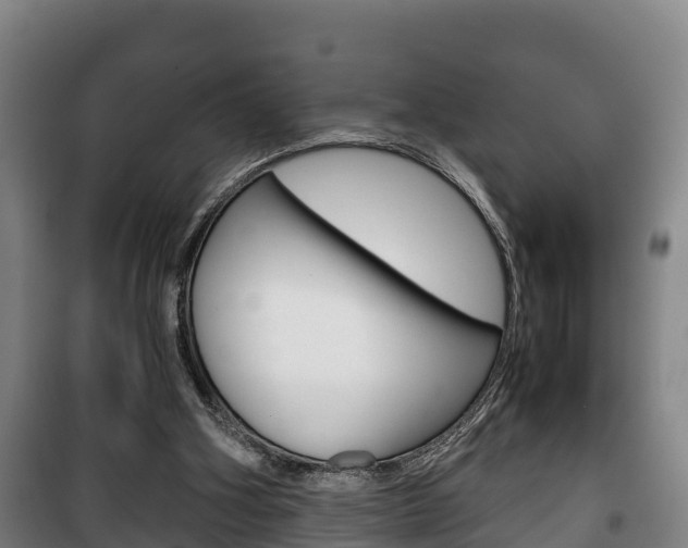 X0000100420106200806060957