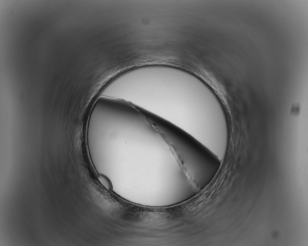 X0000100420107200806060957