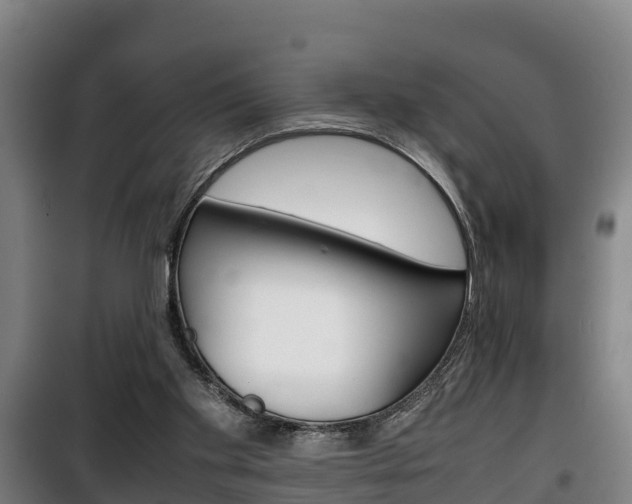 X0000100420109200806060957