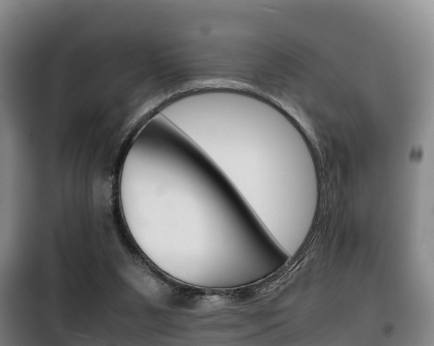X0000100420111200806060957