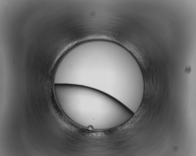 X0000100420112200806060957