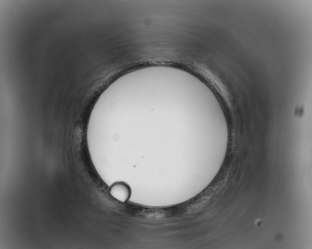 X0000100420113200806060957