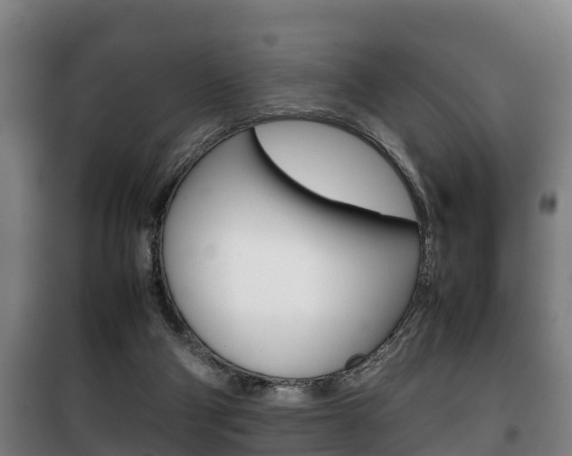 X0000100420114200806060957