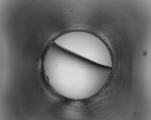 X0000100420115200806060957