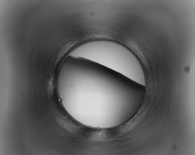 X0000100420116200806060957