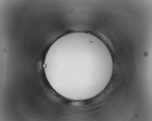 X0000100420117200806060957