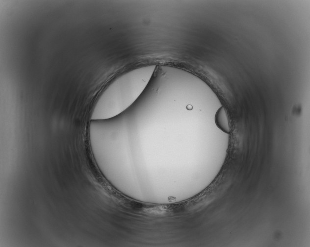 X0000100420118200806060957
