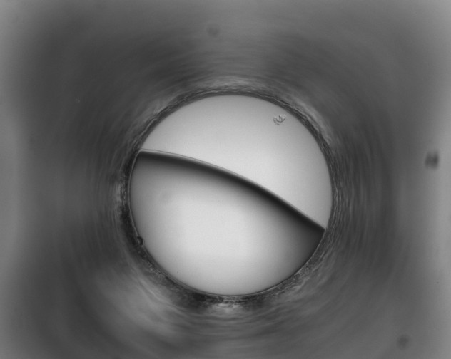 X0000100420119200806060957