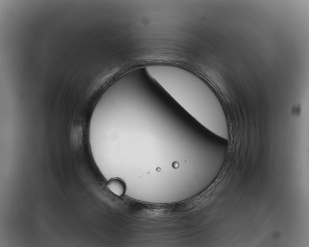 X0000100420120200806060957