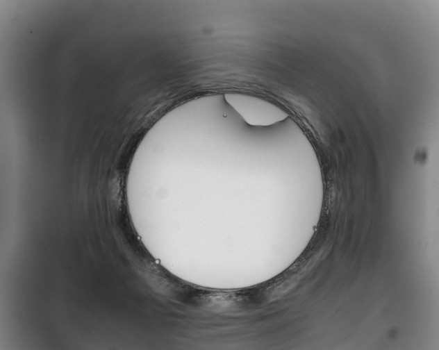 X0000100420121200806060957
