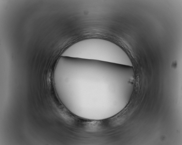X0000100420122200806060957