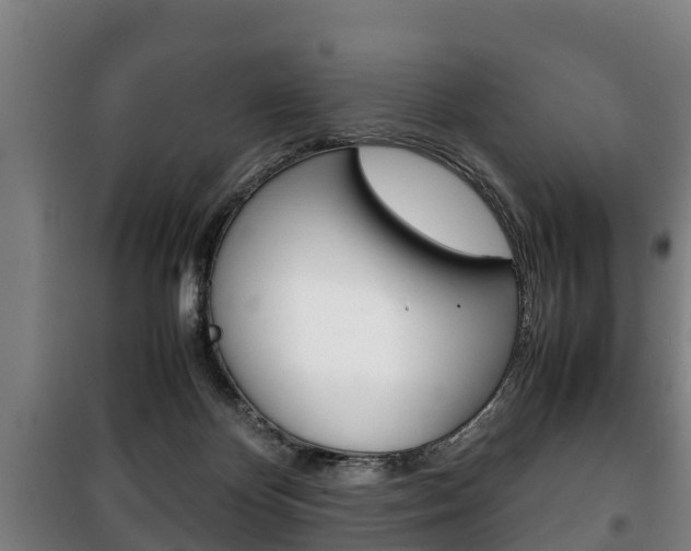 X0000100420124200806060957