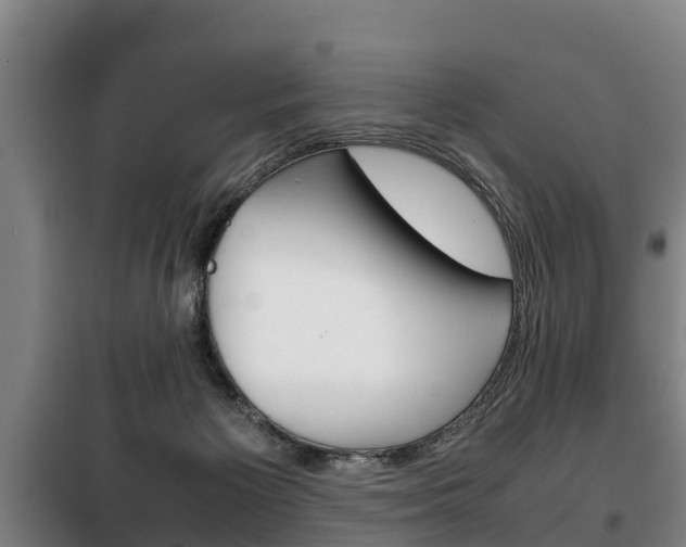X0000100420125200806060957