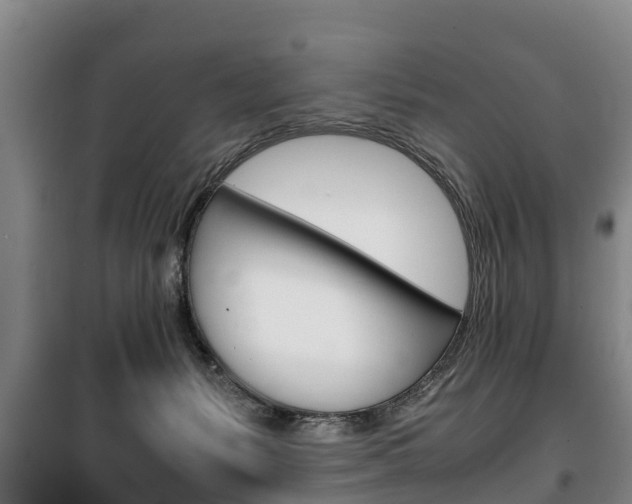 X0000100420127200806060957