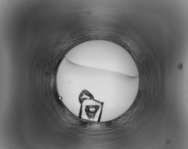 X0000100420129200806060957