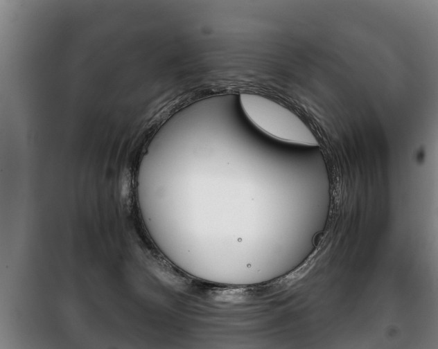 X0000100420132200806060957