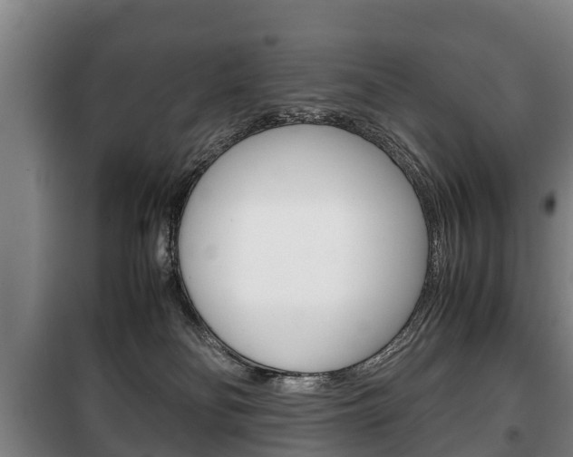 X0000100420134200806060957