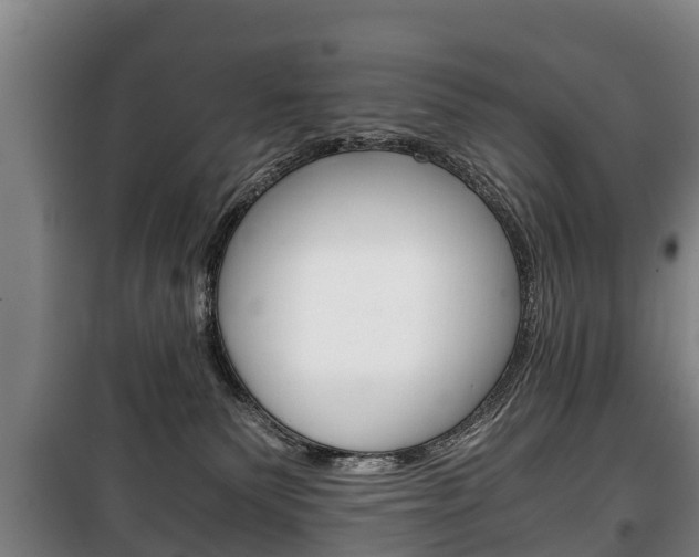 X0000100420135200806060957