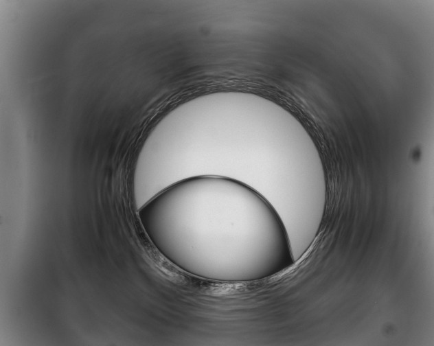 X0000100420136200806060957