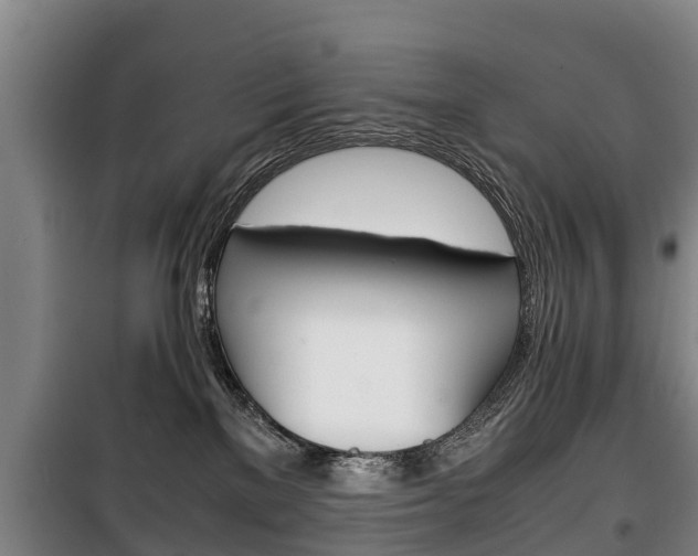 X0000100420137200806060957