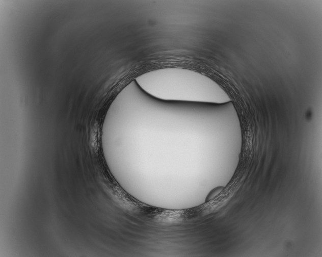 X0000100420138200806060957