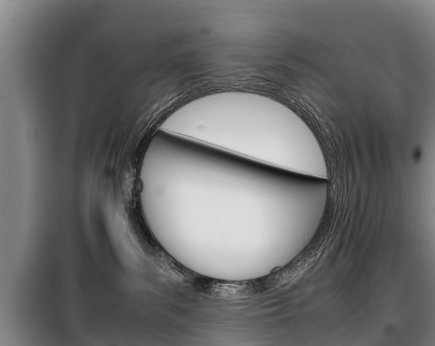 X0000100420139200806060957