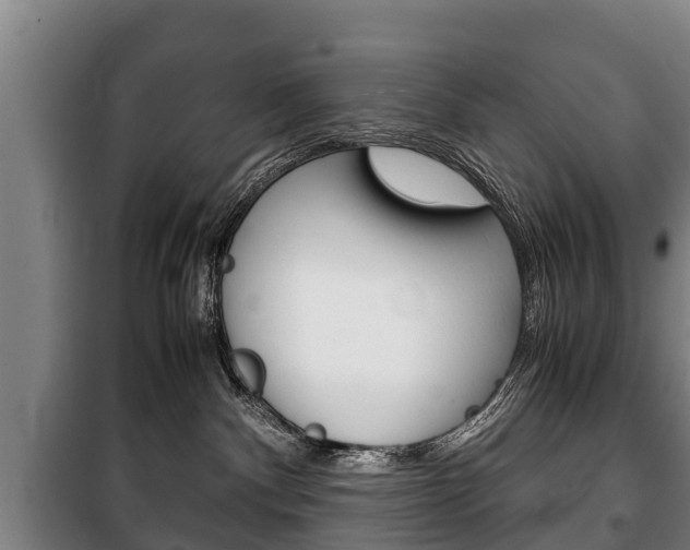 X0000100420140200806060957