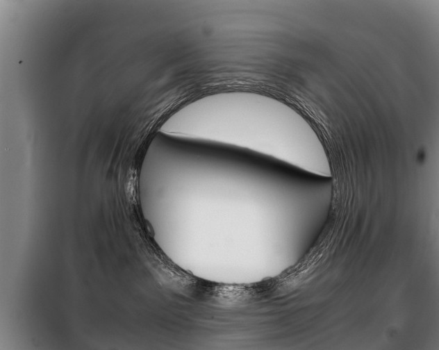 X0000100420141200806060957