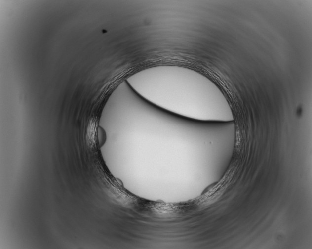 X0000100420142200806060957