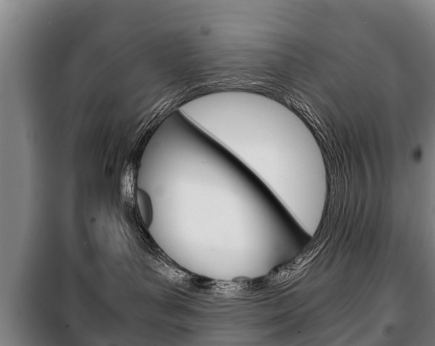 X0000100420143200806060957