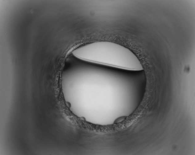 X0000100420144200806060957