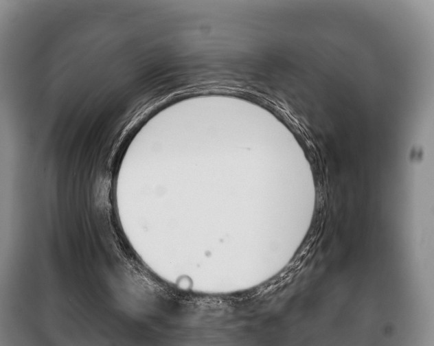 X0000100420146200806060956