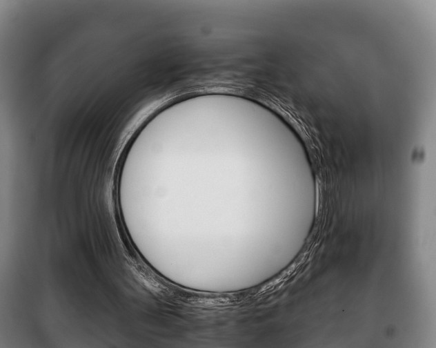 X0000100420147200806060956