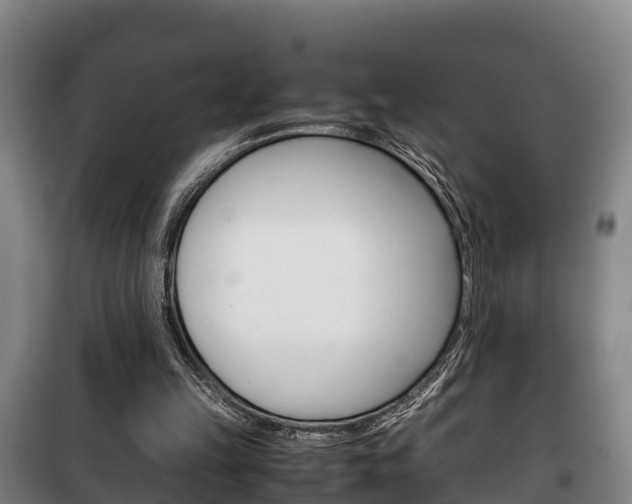 X0000100420149200806060956