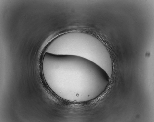 X0000100420150200806060956