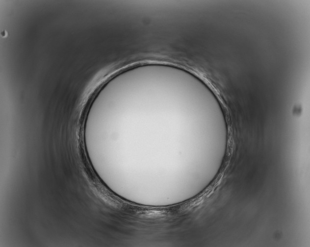 X0000100420151200806060956