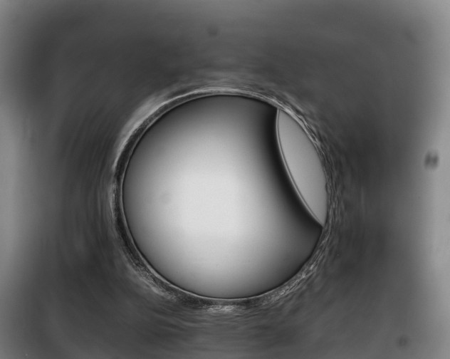 X0000100420152200806060956