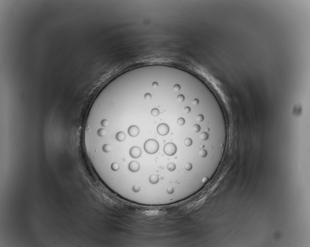 X0000100420153200806060956