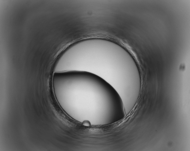 X0000100420154200806060956
