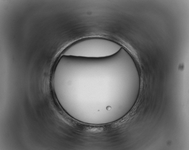 X0000100420155200806060956